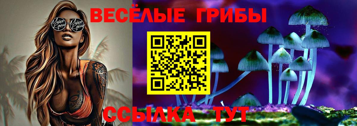 где купить наркоту  Галлюциногенные грибы мухоморы  Карпинск  Вход с VPN  Псилоцибиновые грибы Cubensis 